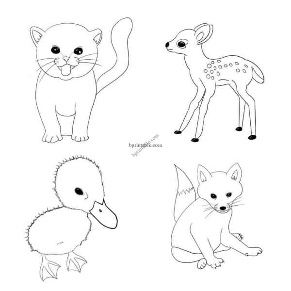 cover photo 2 Kids Coloring Animal Images