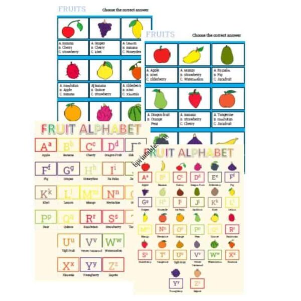 mini bundle product image mini bundle