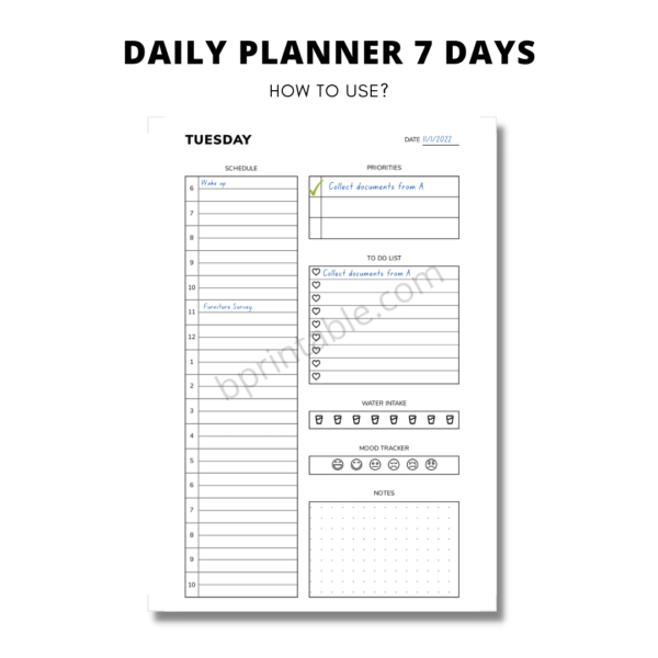 Daily Planner 7 days