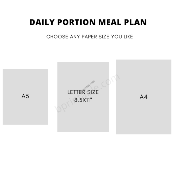 Daily Portion Meal Plan 2 Daily Portion Meal Plan