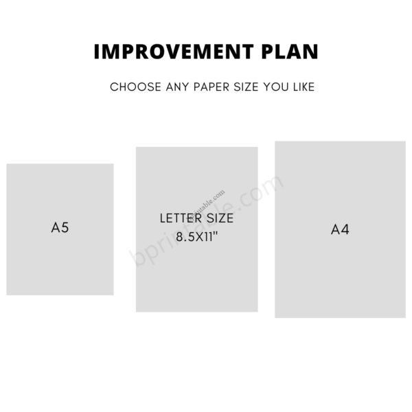 Improvement Plan, Business Planner 2 Improvement Plan, Business Planner