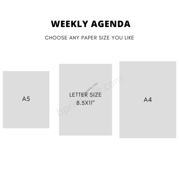 weekly agenda 2 Weekly Hourly Agenda Weekly Schedule Weekly Planner