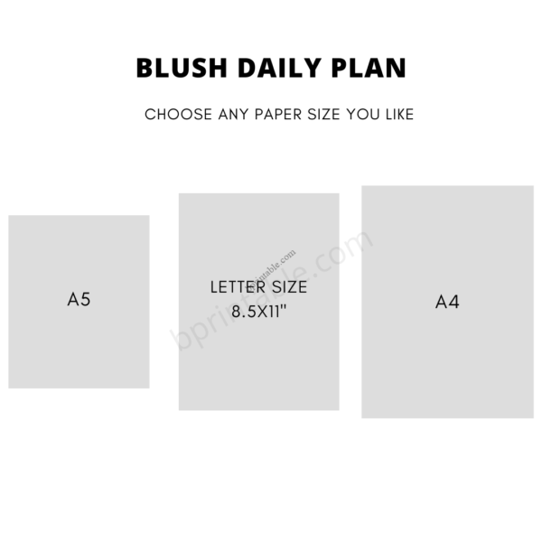 blush daily plan 2 blush daily plan
