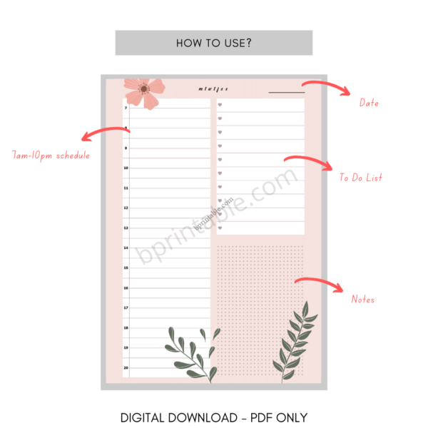 blush daily plan 4 blush daily plan